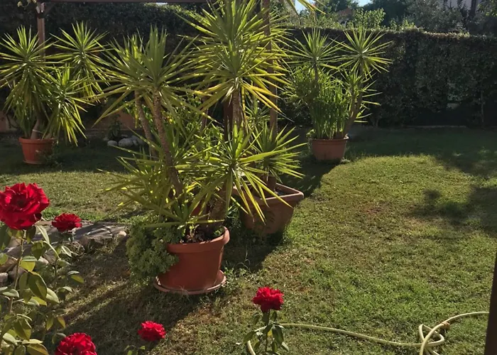 Homestay szállás Casa Mantegna Giulianova